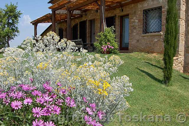 podere 020